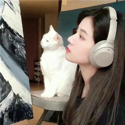马背上的法庭